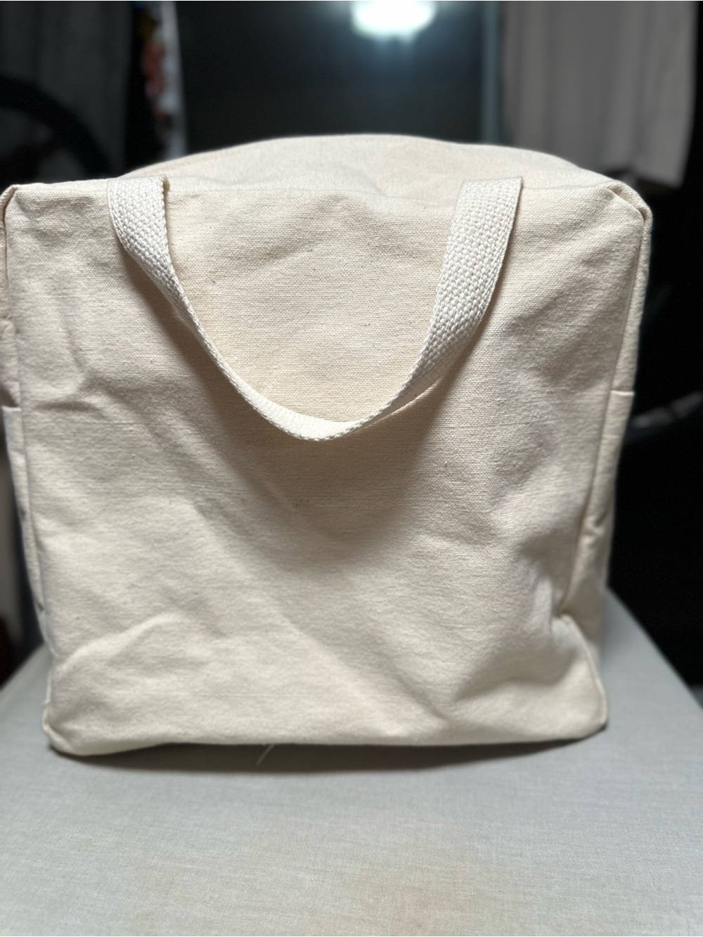 Disney Vacation Club Member Y2K Canvas Tote Bag - Picture 5 of 7